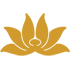 VN